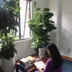 TS. Lê Thị Huyền Trang đọc sách tại Trung tâm Tâm lý Lạc Tiên